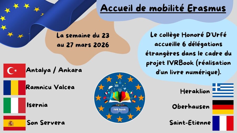 Accueil de mobilité Erasmus.jpg